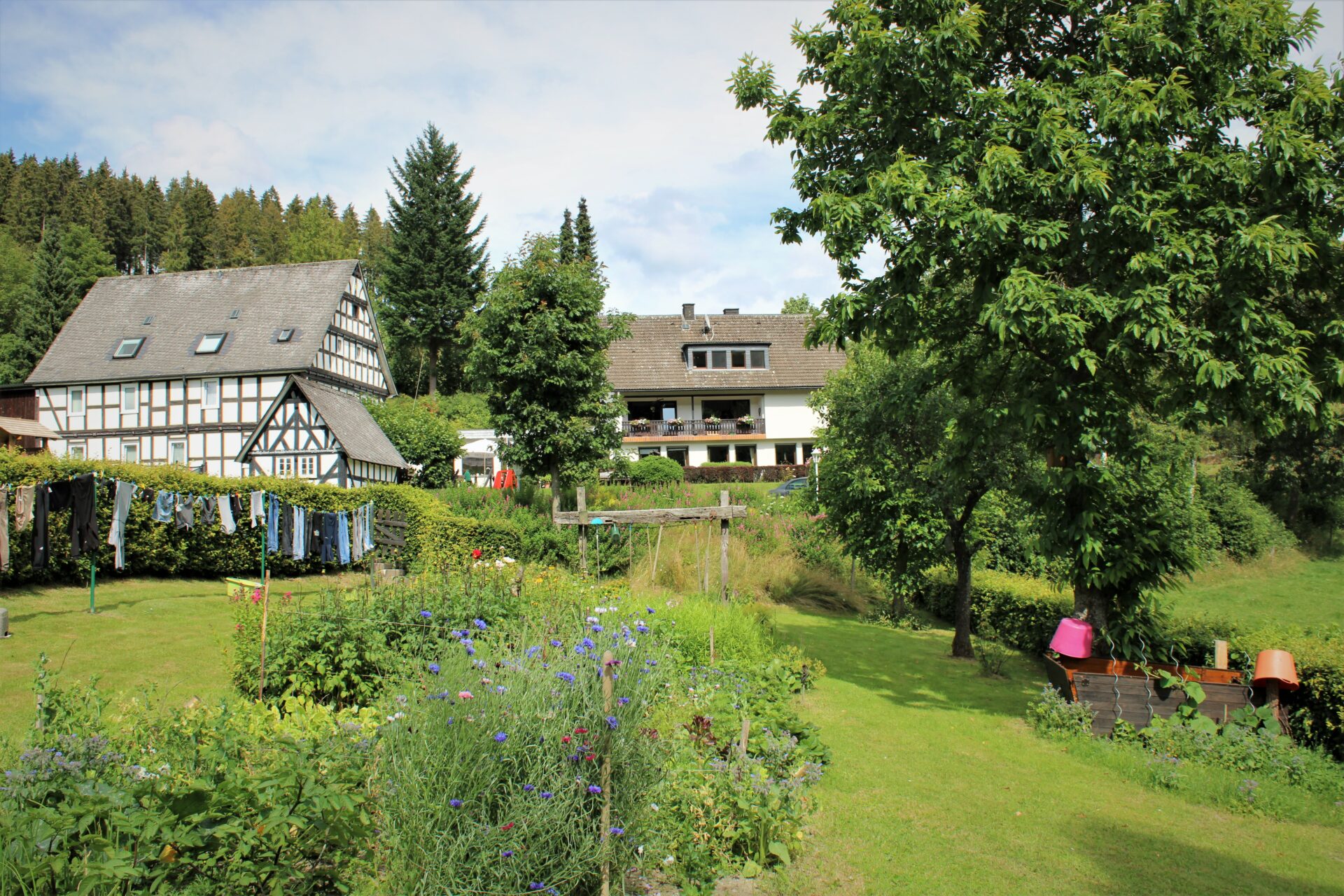 Inmitten der Natur Hof Dambach Urlaub auf dem Bauernhof